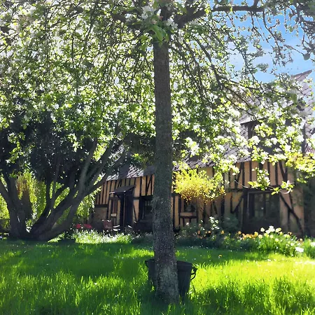 Feriehus Maison Spacieuse Et Charmante A Dame-marie Avec Jardin Dame-Marie (Eure)